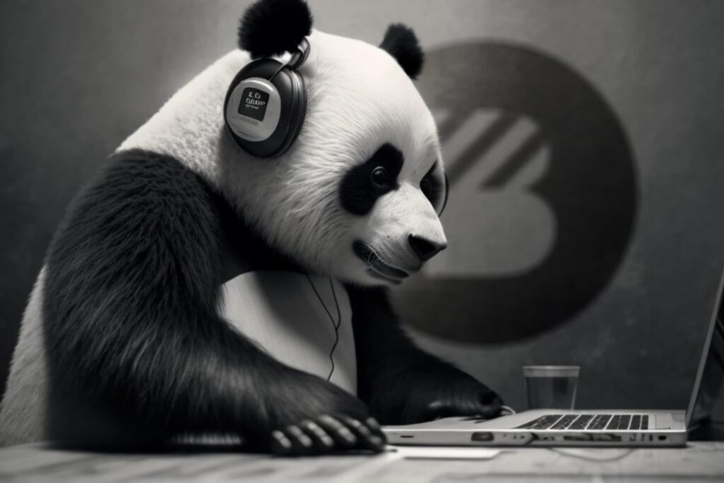 Bamboo Web Developer